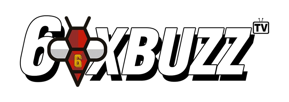 SixBuzz logo